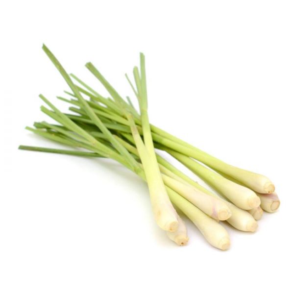 LEMON GRASS ESP