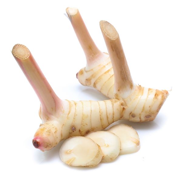 GALANGAL