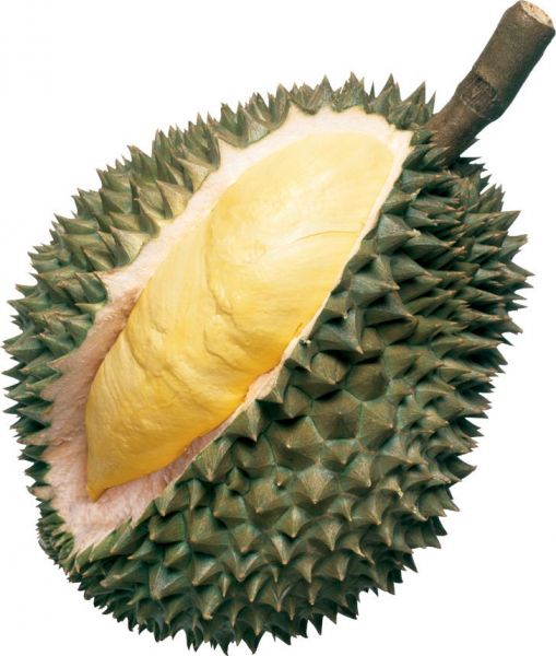 DURIAN WHOLE VN