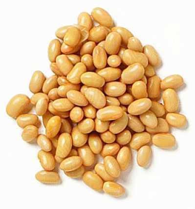 SOYA BEAN 25 KG (CANADA)