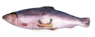 FROZEN MILK FISH 8KG (INDO)