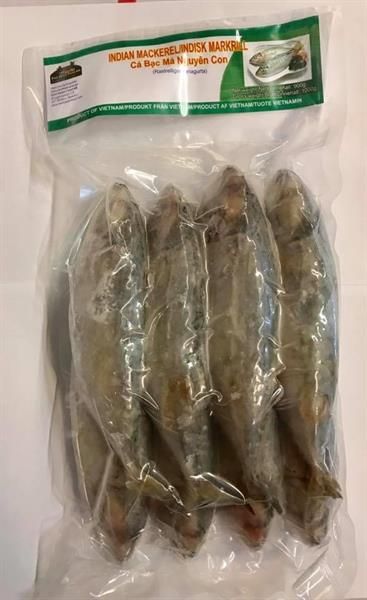 FROZEN INDIANA MACKEREL 1 KG