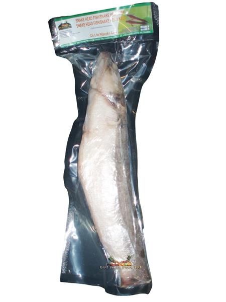 FROZEN SNAKEHEAD FISH