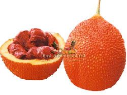 FROZEN MONORDICA FRUIT(TRAI GAC)