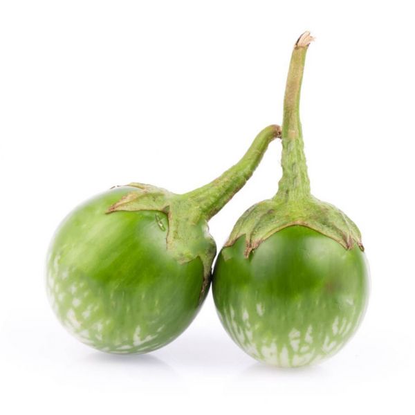 GREEN EGGPLANT(CA PHAO XANH)