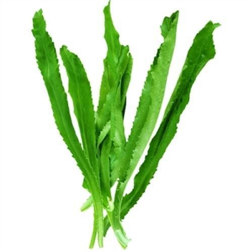 PARSLEY (NGO RAI)