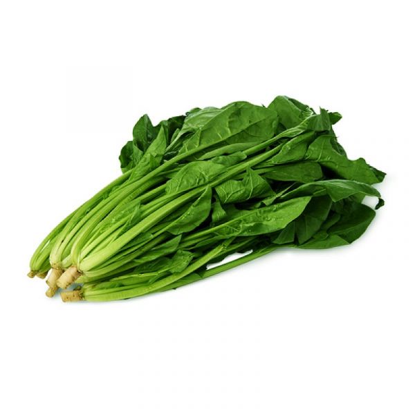 CHINESE SPINACH NL