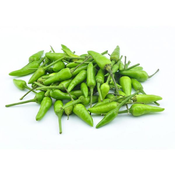 BIRD CHILLI (OT XANH)