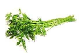 CELERY CHINESE IN BUNCH