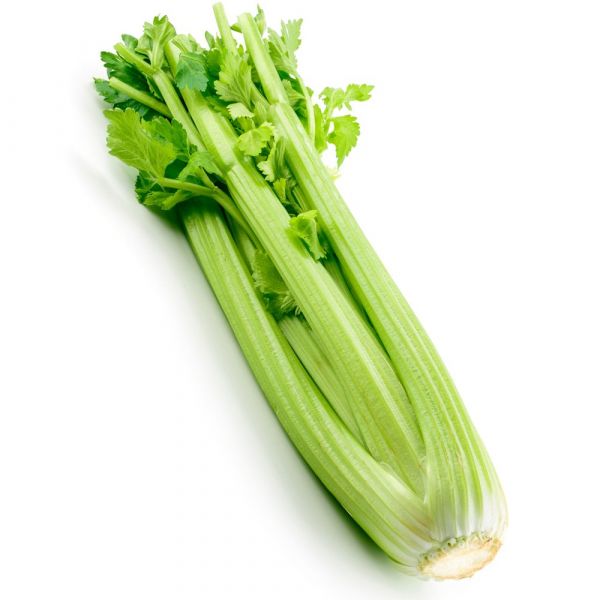 CELERY(CAN TAY)