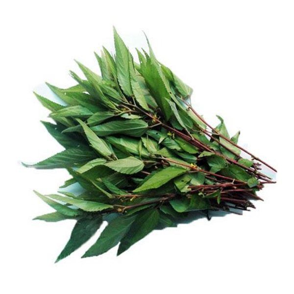RAU DAU LEAF (RAU DAY TRANG)